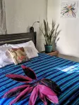 Seaside Inn Roatan