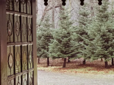 The Woodland Lodge Gisselfeld Hotels in Haslev
