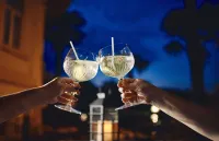 Hotel Villa Eugenia - bar
