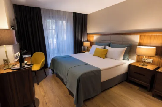 無盡藝術酒店-特殊類別