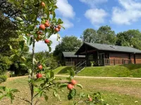 Hollybush Lodges Hotels near Radstock Museum