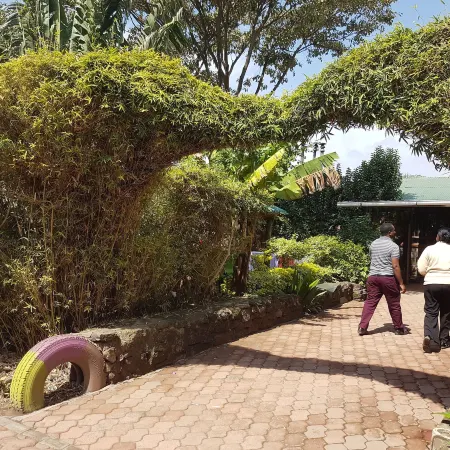 Kivu Resort
