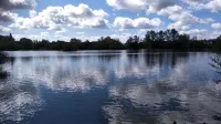 Mallard Cottage Guest House Hotels in Wrotham Heath
