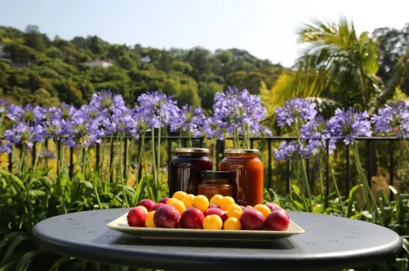 Casa do Valle Отели рядом с достопримечательностью «Дворец Пена»