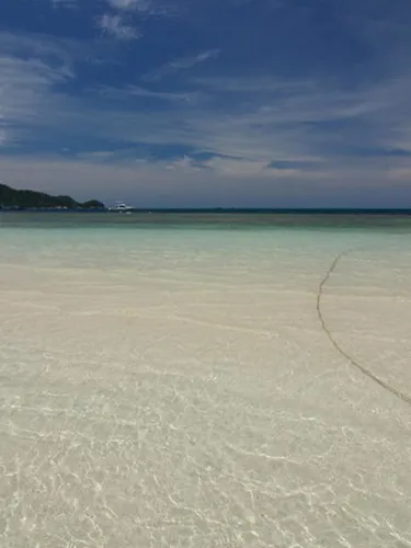 รูปภาพของปาล์มลีฟ รีสอร์ท