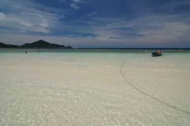 รูปภาพของปาล์มลีฟ รีสอร์ท