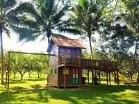 Table Rock Lodge Hotel di San Ignacio