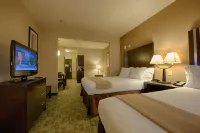 Holiday Inn Express & Suites HOUSTON NW BELTWAY 8-WEST ROAD by IHG - 3-Star