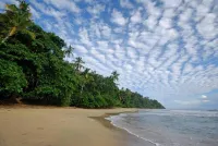Terrazas del Caribe Hotel - Beach