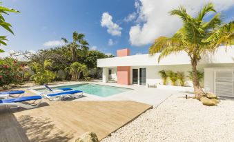 Boca Catalina Modern Villa