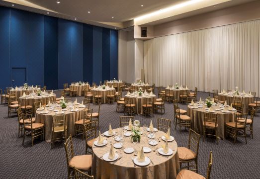 파추카 호텔 로비