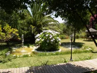 Mesón de Sancho Hotels in Tarifa