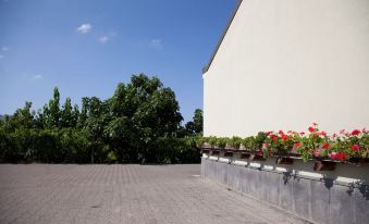 L'Antica Vigna