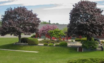 Cedar Hill Lodge