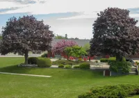 Cedar Hill Lodge Hotel a Saint Ignace