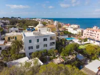 Villa Panoramica - Ischia Ponte Hotels in Ischia