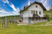Vineyard Homestead Vrtin