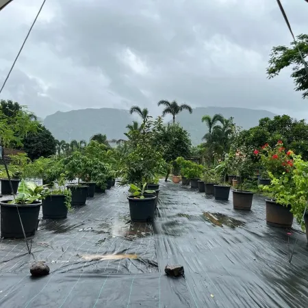 The Riverstone Agro Farm