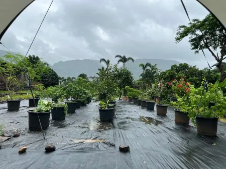 The Riverstone Agro Farm Отели в г. Malegaon T. Waredi