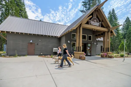 تينايا آت يوسميت