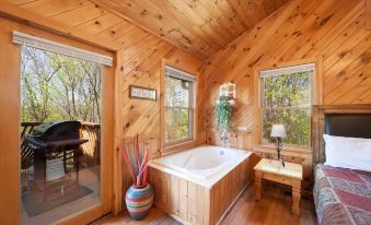 Mountain View Holy Smoky Cabin