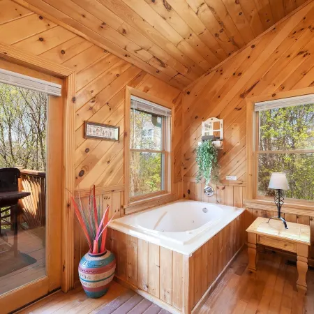 Mountain View Holy Smoky Cabin