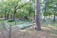 Enjoy 1.3 wooded acres and location to amenities Holly Lake has to offer.