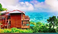 Rock Paradise Resort Hotels in 