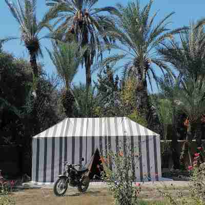 Bivouac Sous les Palmiers Bleus Hotel Exterior