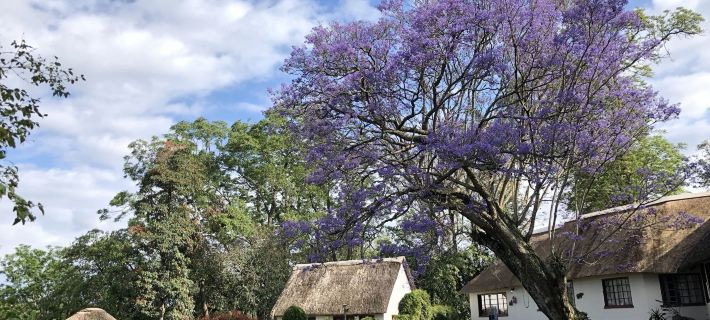 Thokozani Lodge Hotels in Ehlanzeni