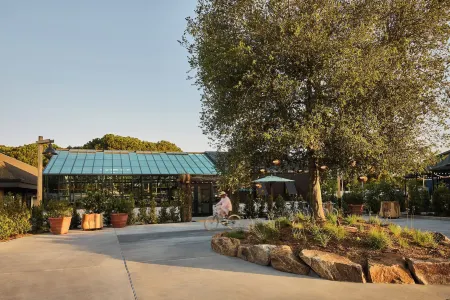 Treehouse Hotel Silicon Valley Отели рядом со станцией Станция Sunnyvale Caltrain