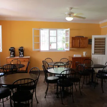 Harlem B & B