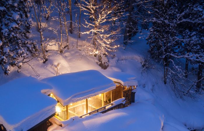松之山温泉 ひなの宿 ちとせ