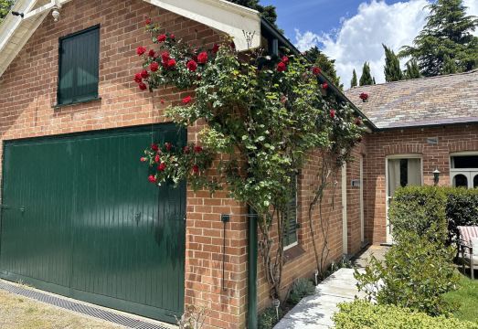 3. 로완 브레이 히..