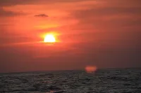 IXTAPA-MONARCA Relaxing BEACHFRONT CONDO with awesome view 익스타파 호텔