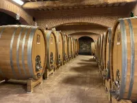 The Tuscan Cypress. Fast Internet and comfort in the heart of Chianti.