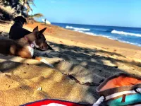 The NorthWest Villa - HOME Away From Home