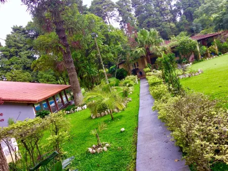 PROMOTION .... OF IMPERDIVELESS PASCO .....