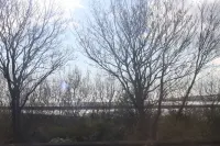 Tynemouth apartment in superb location overlooking the river. Dog friendly