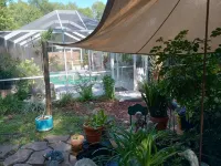 ZEN SPOT SANCTUARY<br>HEATED SALT POOL!  PRIVATE!<br> SCREENED PATIO BBQ<br>KOI POND <br><br>