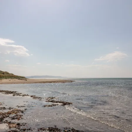Ailsa Shores