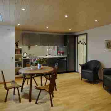 Luxury Apartments Justingerweg Bern Rooms