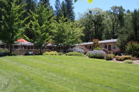 Mother Lode Motel Отели в г. Поллок Пайнс