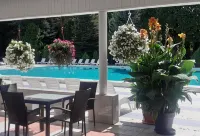 Hotel Ambasador Chojny - piscina
