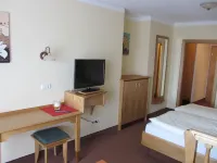 Pension Zur Alten Schmiede - 3-Star
