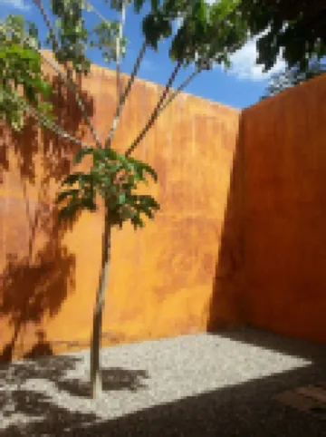 Hotel Cosijo Hoteles en 