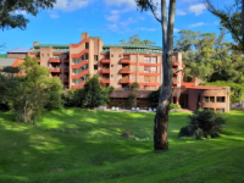 Hotel del Bosque