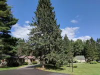 Pine Tree Motel & Cabins Hotels in Chester