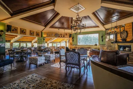 Pindos Resort Отели в г. Мецовон