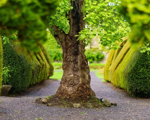 Thornbury Castle - A Relais & Chateaux Hotel Near Hotel Photos